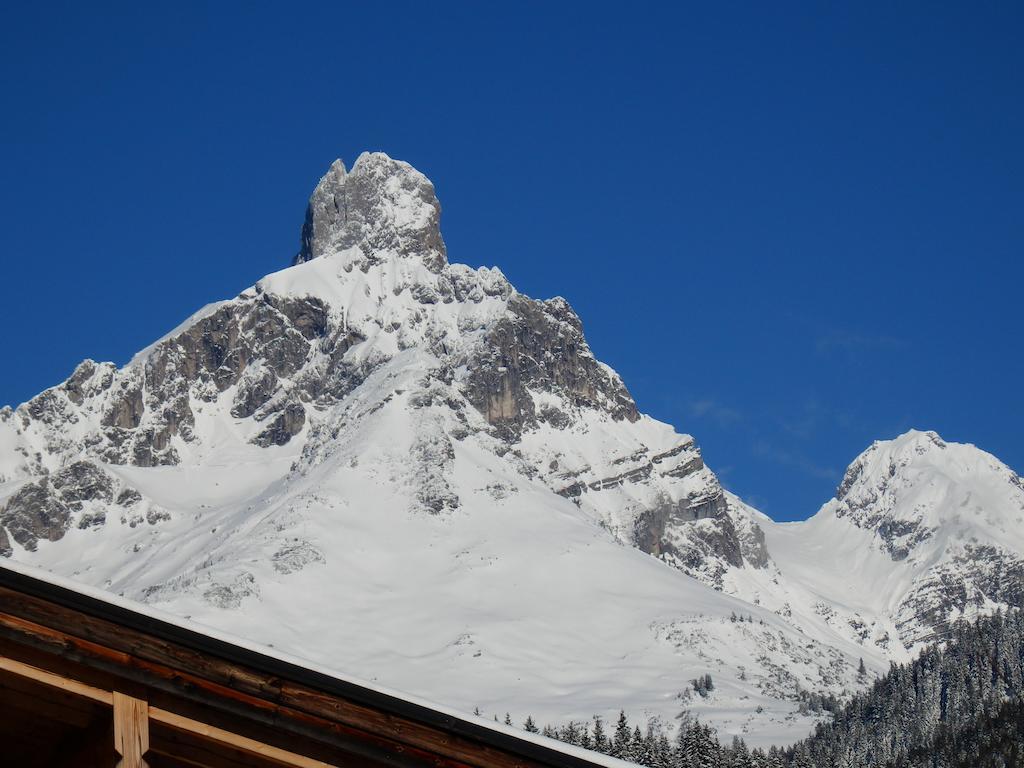 Ferienwohnung Haus Sonnental Filzmoos Exterior foto